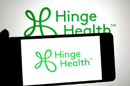 掌牛宝 5月上市的Hinge Health上涨3% 获分析师力挺