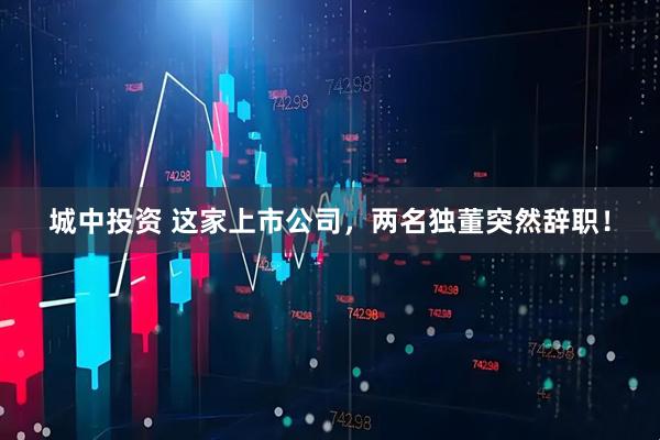 城中投资 这家上市公司，两名独董突然辞职！