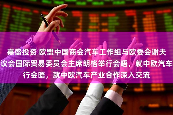 嘉盛投资 欧盟中国商会汽车工作组与欧委会谢夫乔维奇内阁及欧洲议会国际贸易委员会主席朗格举行会晤，就中欧汽车产业合作深入交流