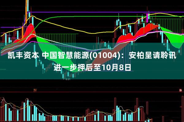 凯丰资本 中国智慧能源(01004)：安柏呈请聆讯进一步押后至10月8日