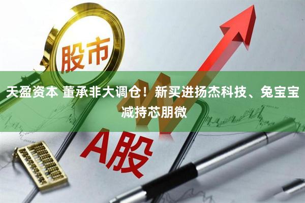 天盈资本 董承非大调仓！新买进扬杰科技、兔宝宝 减持芯朋微